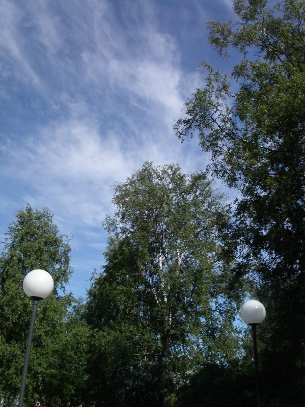 Cirrus